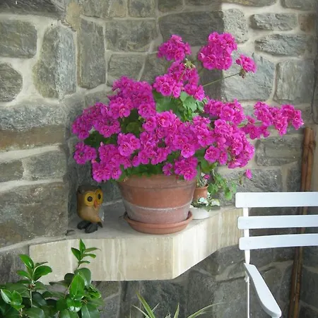 住宿加早餐酒店 Helianthe