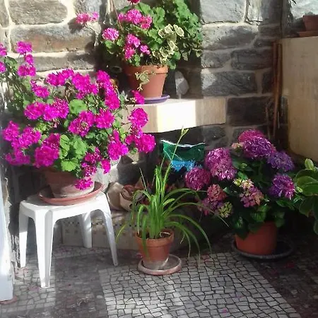 Bed & Breakfast Helianthe