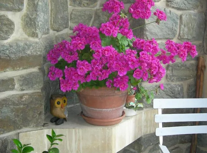 לינה וארוחת בוקר Helianthe