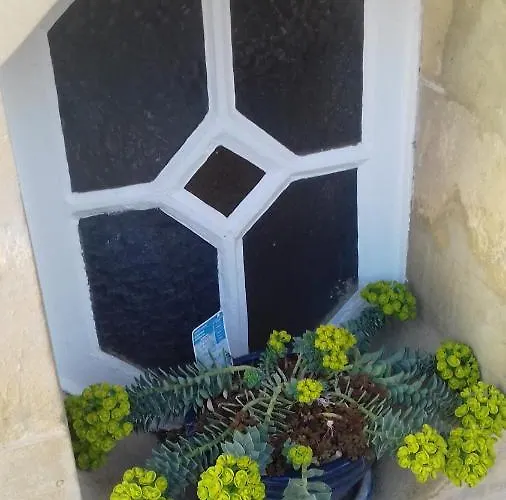 לינה וארוחת בוקר Helianthe