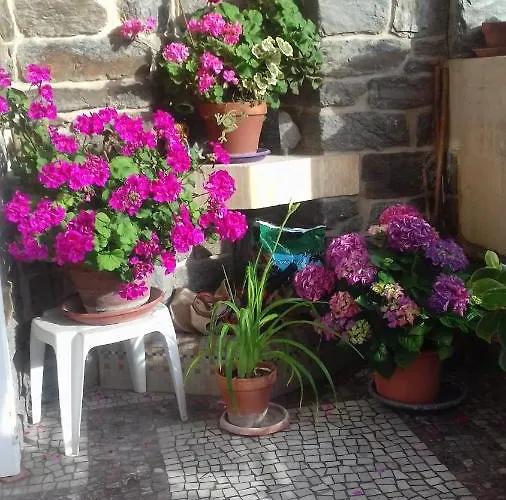 Alojamento de Acomodação e Pequeno-almoço Helianthe